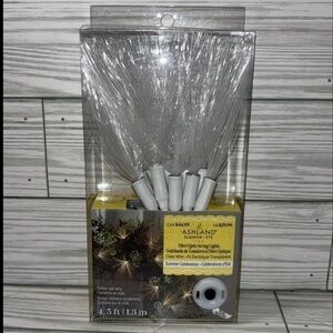 Ashland Fiber Optic String Lights